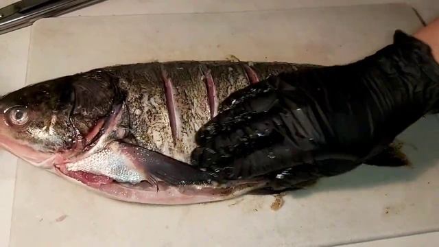 Рыба с майонезом в духовки. Приготовления в домашних условиях. смотреть онлайн