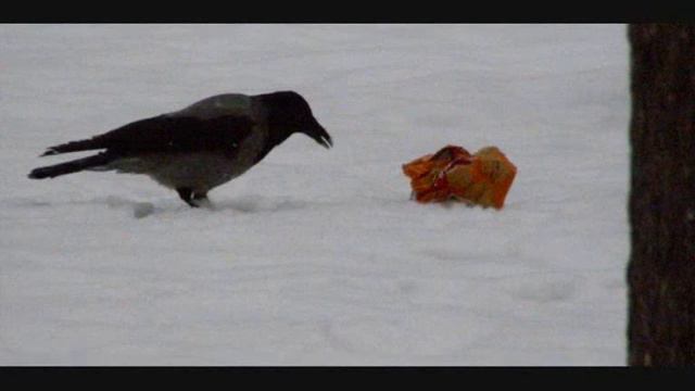 Непластилиновая ворона смотреть онлайн