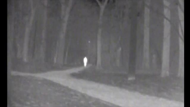 Тепловизор PULSAR QUANTUM HD19S смотреть онлайн