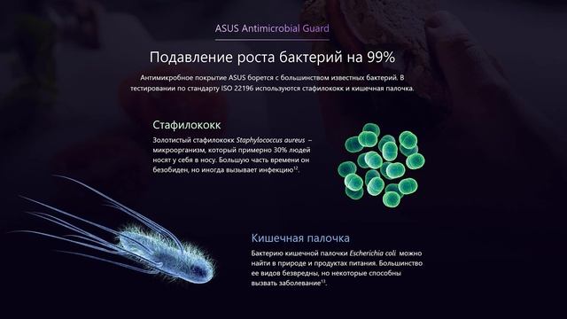 Антимикробное покрытие ASUS смотреть онлайн
