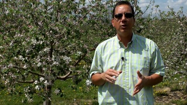 Fontelis, Luna Tranquility, And Merivon - SDHI Fungicides For Apple Scab Control