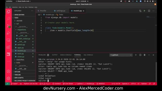 AM Coder - Django/React Build #4 - Django shell and dbshell смотреть онлайн