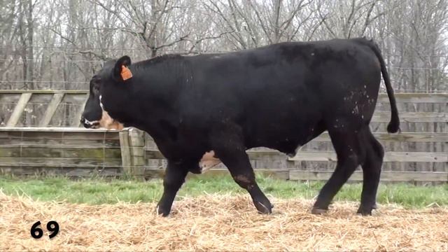 Lot 69 - KCF BENNETT H807 смотреть онлайн