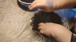 Желе из черники.Blueberry jelly.