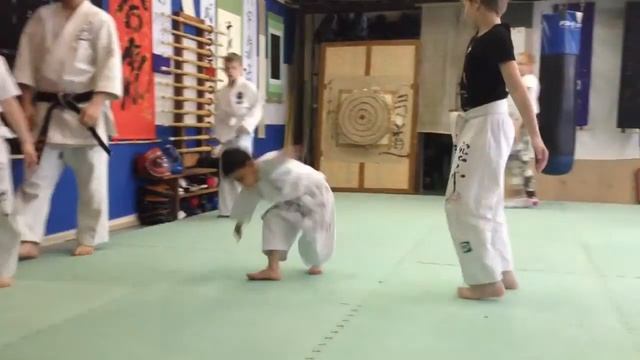 Каратэ Вадокай Укедо рю разминка колесо смотреть онлайн