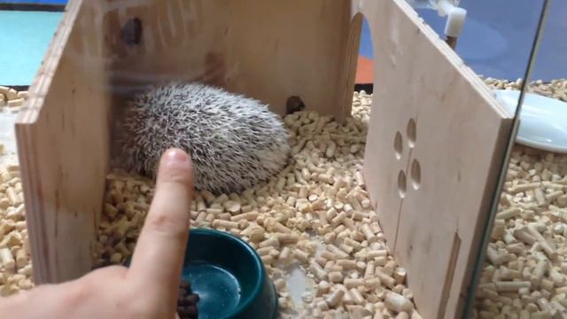 Развлекательный центр короли в Калининграде смотреть онлайн