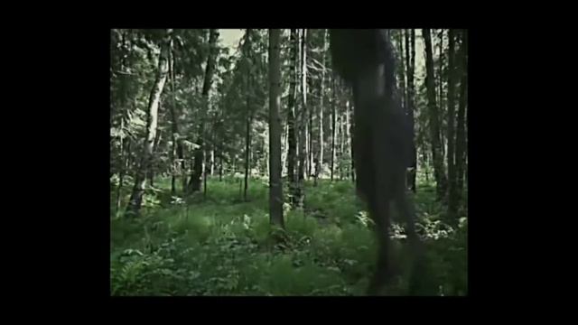 Это программа сдохни или умри 1 минута 7 секунд