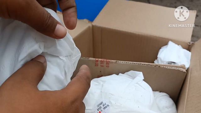 RARE‼️‼️Carunculated ECHEVERIA BERSERK 😍😍|| New in my Garden☺️ смотреть онлайн