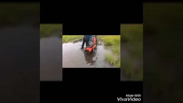 ПОКАТУШКИ)) В БАГДАРИНО) смотреть онлайн