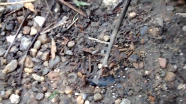 Исследователи смотреть онлайн