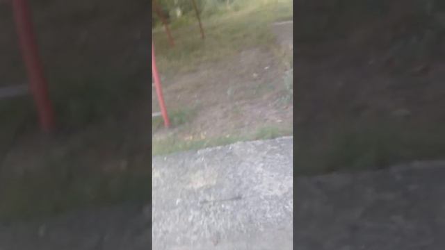 с моим другой Сашей мы делали самый лучший ролик который мне понравился Это видео вам точно