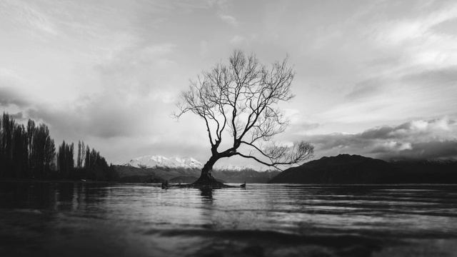 Bjørn Riis. Absence