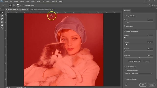 Quick Selection tool exercise for Adobe Photoshop 2017 смотреть онлайн