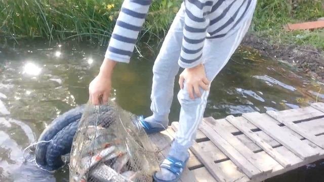 Разделка фазана смотреть онлайн