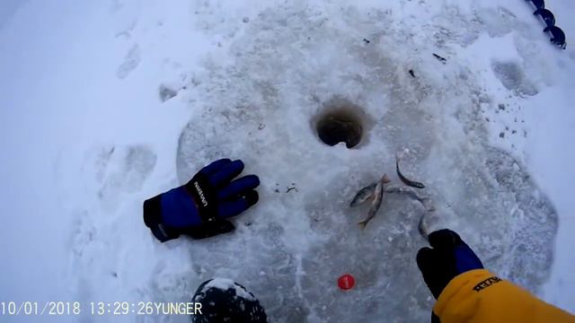 Зеленец. Залив . смотреть онлайн