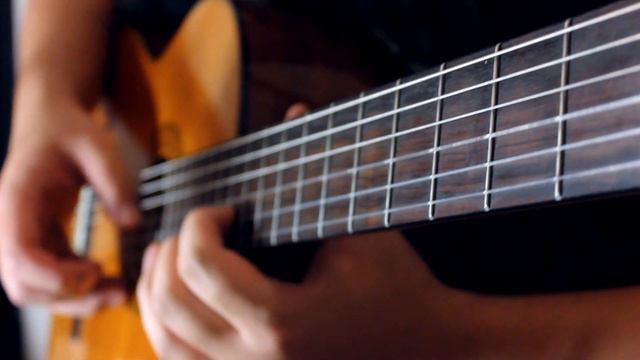 Choose Your Seeds (Plants vs. Zombies) Guitar Cover | DSC смотреть онлайн