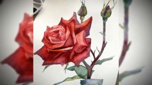 Я снова рисую РОЗЫ...(автор неизв.).