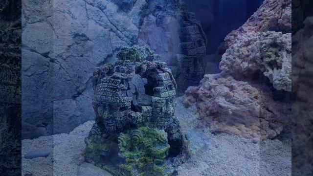 Aquascape Juwel Trigon 350 смотреть онлайн