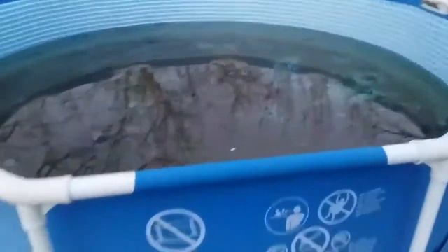 Басейн INTEX смотреть онлайн