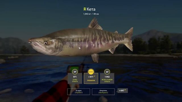 590 за час | Мальма + Кунджа + Кижуч + Кета | р. Яма | ФАРМ | Русская Рыбалка 4 смотреть онлайн