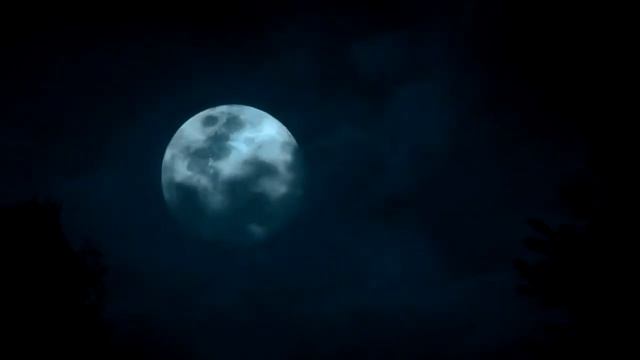 ✘ I Hate Everything About You