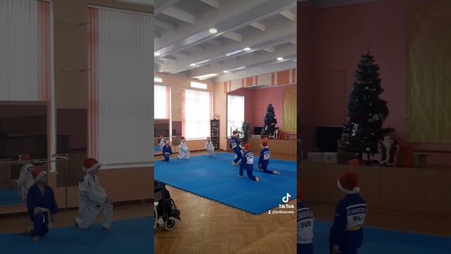 сфцдим советского района г.Минск. команда дзюдо. смотреть онлайн
