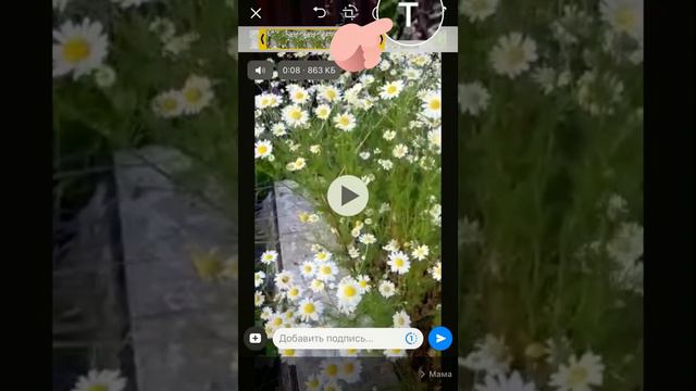 Как редактировать видео прямо в Ватсаппе смотреть онлайн