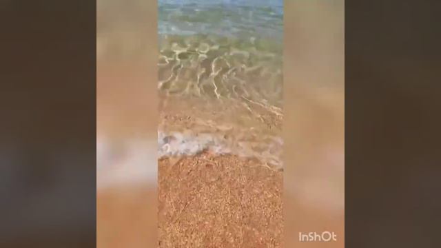 Отдых с детьми Анапа Витязево Лето Пансионат Тюльпан Чёрное море смотреть онлайн