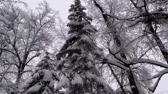 Зимний день смотреть онлайн