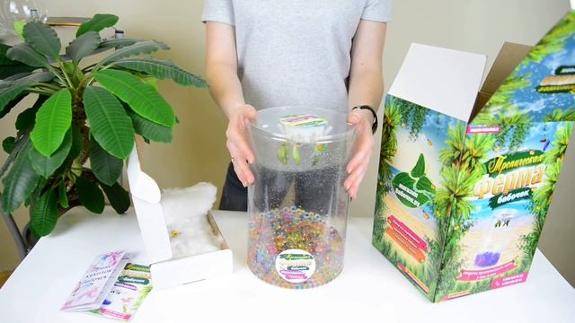 Тропическая ферма бабочек смотреть онлайн