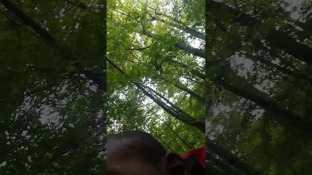 Showdown Football Board Game смотреть онлайн