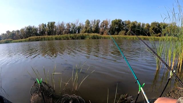 А КАРАСИК ТО,КЛЮЁТ. Рыбалка на Чиру 24.08.2021г. смотреть онлайн