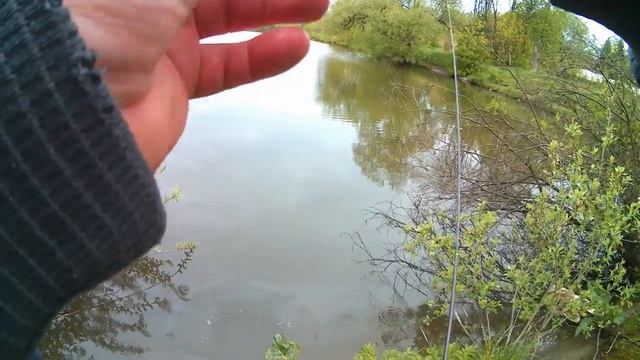 Fario NT morm S -2020 года. 1.8 рост 0.5 - 2 тест + леска. смотреть онлайн