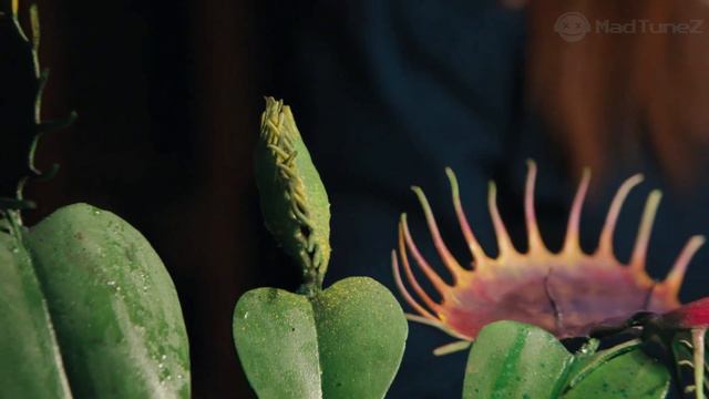 WEDNESDAY Playing Cello (Full Scene) | Wednesday Plays Oversized Violin