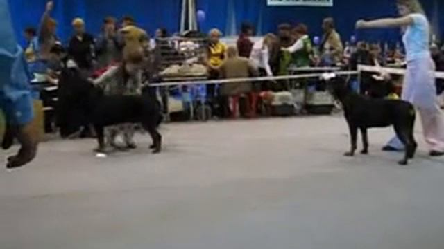 Чемпионат Росии 2008 смотреть онлайн
