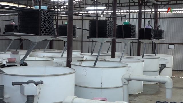 Рыбное хозяйство  24 08 2021