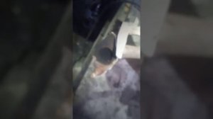 хендай акцент ремонт суппорта тормозного перед