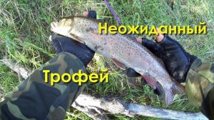 Рыбалка в Иркутске. Неожиданный трофей. Рыбалка на осенней реке