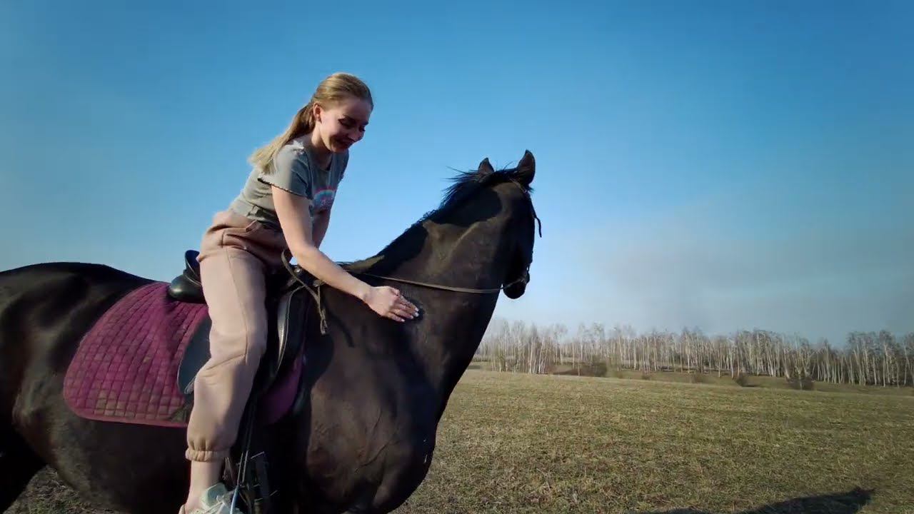 Молодая Ферма у КФХ Герефорд