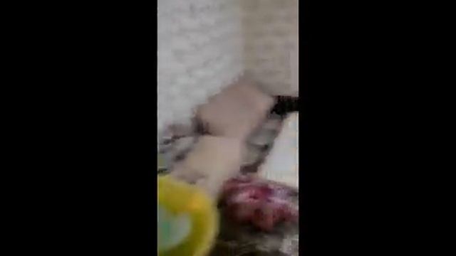 30.12.18г. Вручение подарков, и игрушек детям от Балашовского отдела Уральско-Яикского Казачества смотреть онлайн