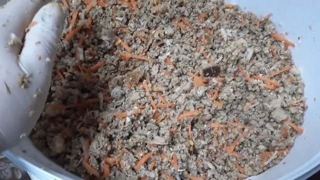 Мешанка курам для отличной яйценоскости и развития молодняка... смотреть онлайн