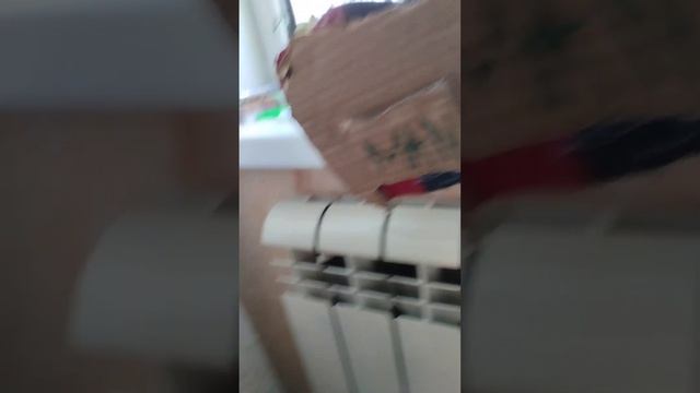 едем в Хабаровск смотреть онлайн