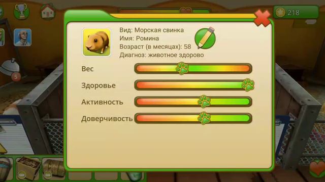 я играю в игру моя клыныка для животных смотреть онлайн