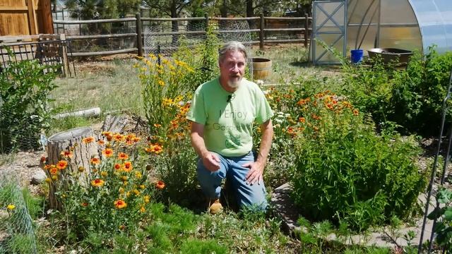 How to Be a LAZY Gardener (SUCCESSFULLY) смотреть онлайн
