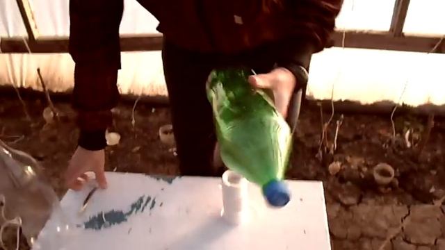 Делаем кормушки для птиц из бутылки своими руками смотреть онлайн