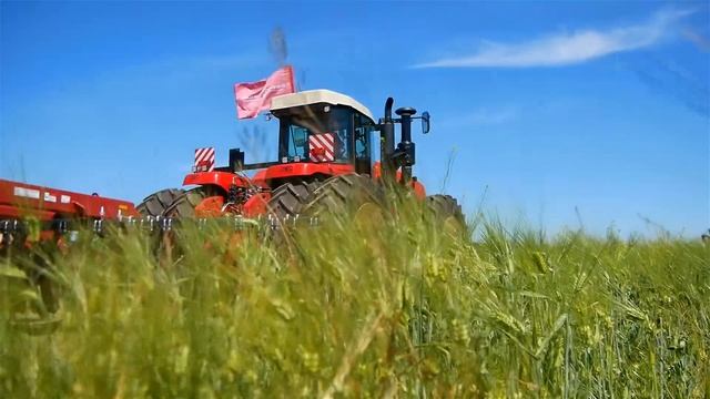 «День донского поля» 2022 смотреть онлайн