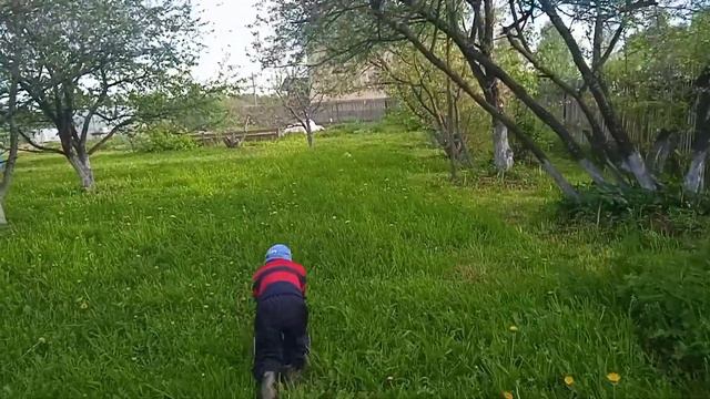 Цветут сады в конце мая Мы в няньках Заболели короновирусом. смотреть онлайн