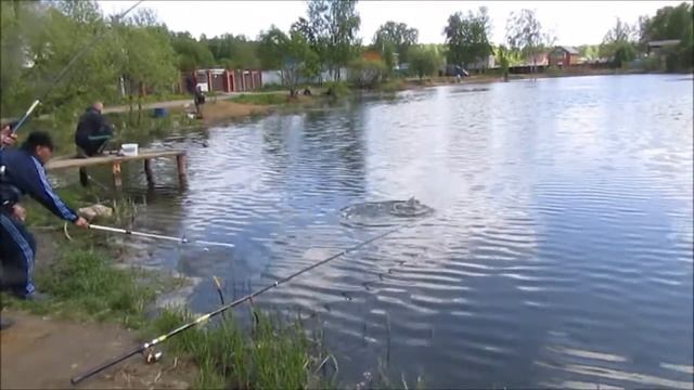 платная рыбалка Пирогово-Коргашено смотреть онлайн