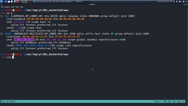EP001: HackerKid VulnHub Walk through in Urdu/Hindi смотреть онлайн