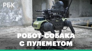 В Китае показали штурмового робота-собаку с пулеметом, гранатами и дроном